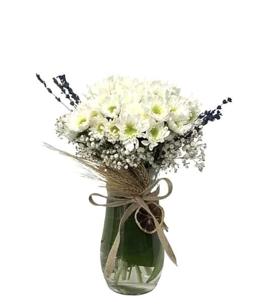 Harbinger Of Spring White Daisies İn Vase