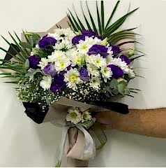 Mor Lisyantus, Krizantem