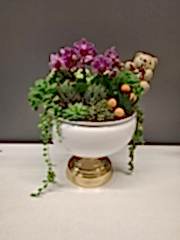 Kupa Saksıda Bougetto Orkide Serisi 3