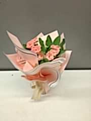 Dikenler Tacı Çiçeği