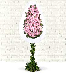 Pembe Gerbera Çelengi