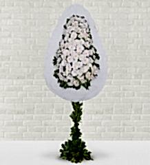 Beyaz Gerbera Sepeti