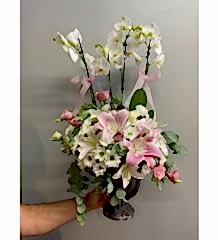 4 DAL Beyaz Orkide Aranjman 1