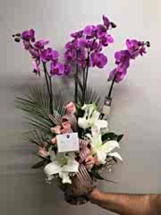 4 DAL Mor Orkide Tasarım Çiçek