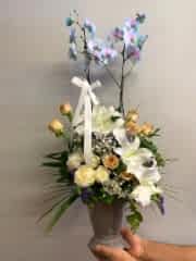 Mavi Orkide Aranjman